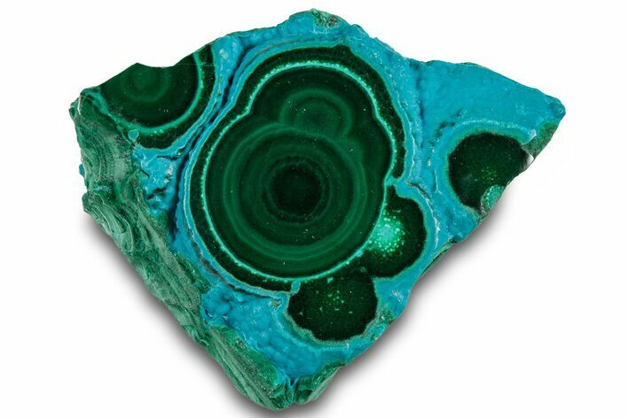 Vibrant Polished Malachite with Chrysocolla - DR Congo #319818